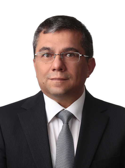 Prof. Dr. Arif Demir